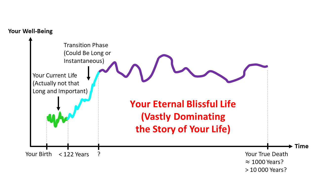 your current and eternal blissful life visualized